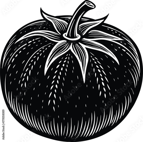 Vintage Tomato Engraving: A detailed, monochromatic illustration captures the essence of a ripe tomato, showcasing the intricate artistry of a classic engraving style.