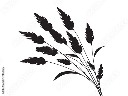 Elegant wheat stalk graceful black silhouette vector artwork
