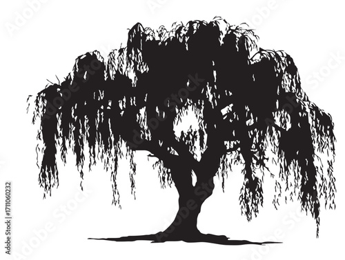 Graceful willow tree branches in natural silhouette design  
