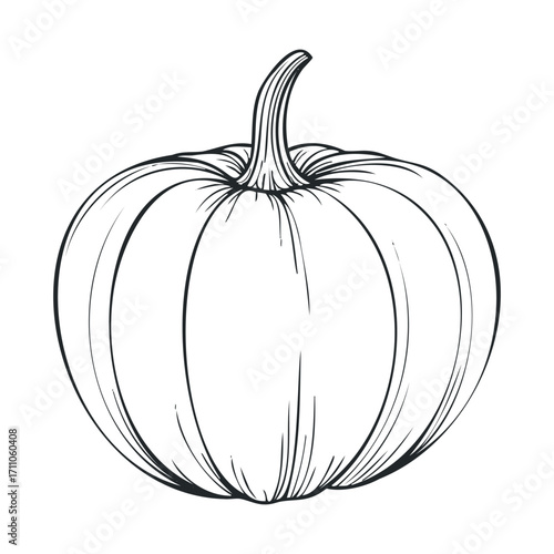 Rustic pumpkin sketch for autumn decor and Halloween celebration. Vector hand drawn illustration

