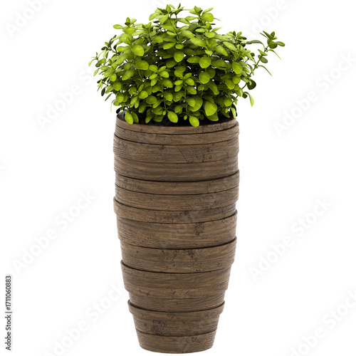 3d render wooden plant pot greenery with transparent background