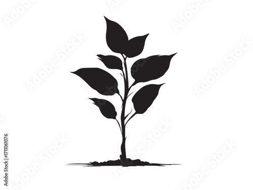 Young sapling silhouette illustration with natural elegant simplicity  