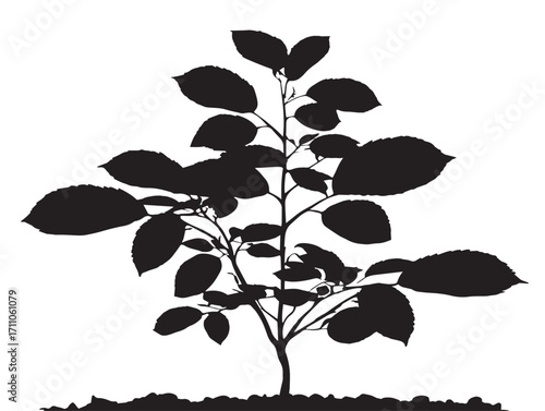 Minimalist young sapling design silhouette for modern creative projects  