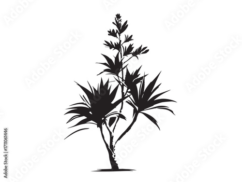 Stunning yucca plant silhouette design with artistic natural beauty  