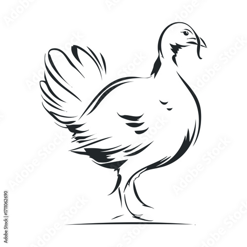 Artistic depiction of a bird walking gracefully outdoors. Vector hand drawn illustration

