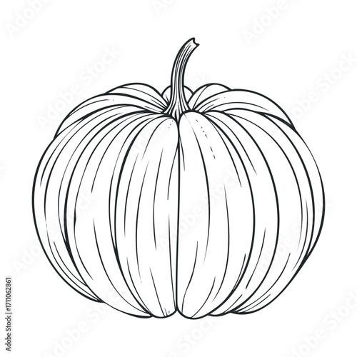 Sketch of a ripe pumpkin for fall decor and celebrations. Vector hand drawn illustration

