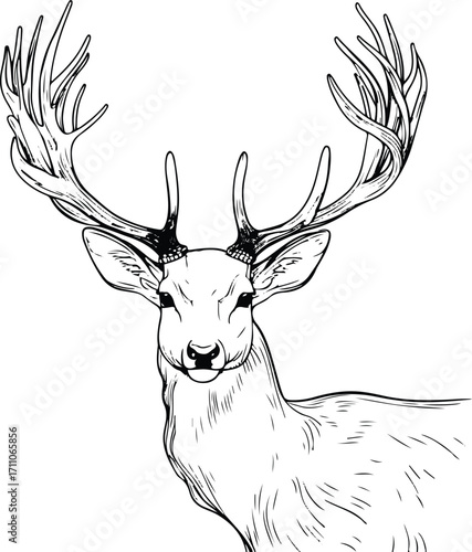 Black bold outline with white background, Minimal single line drawing of deer with big antlers, elegant wildlife design 1