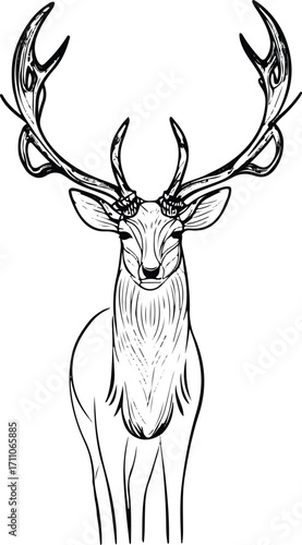 Black bold outline with white background, Minimal single line drawing of deer with big antlers, elegant wildlife design 3