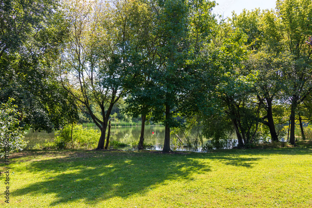 Naklejka premium A lake surrounded by lush green trees and grass at FDR Park in Philadelphia Pennsylvania USA