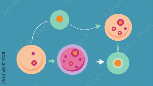Cell Regeneration An image depicting skin cells regenerating and multiplying facilitated by exosomes symbolizing faster recovery.
