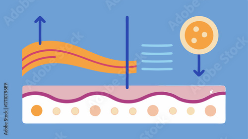 Elasticity Measurement A stylized representation of measuring skin elasticity pre and postexosome treatment with flexible bands illustrating the improvement.