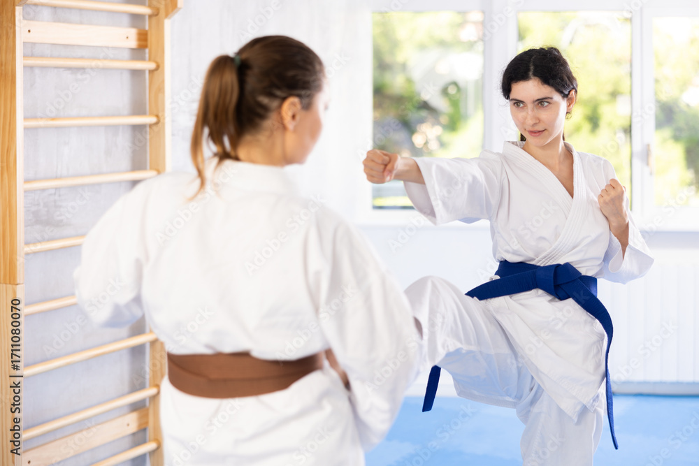 Obraz premium Karate practitioners showcase their techniques in dynamic sparring session, focusing on speed and accuracy.