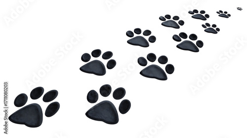 A series of black paw prints diminishing in size diagonally across a black background from left to right