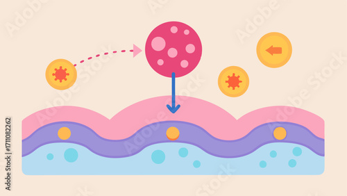 Collagen Synthesis An exosome illustration with a visible transport of collagen molecules towards skin cells demonstrating the role of exosomes in boosting collagen production.