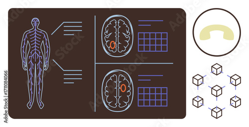 Anatomy diagram of human nervous system, brain scans, neural pathways highlighted with structural grids. Ideal for medicine, neurology, research, artificial intelligence, health, neuroscience data