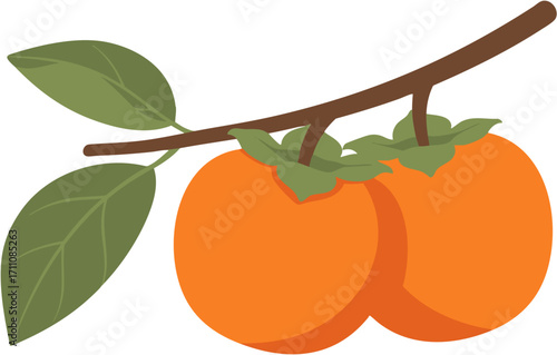 Two ripe persimmons on branch with green leaves vector illustration (SVG)