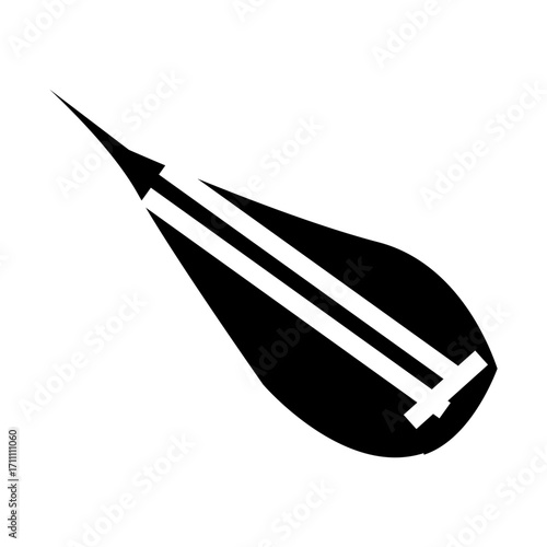black and white biwa instrument music from japan