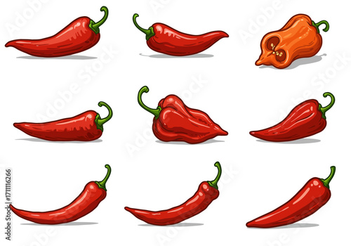 Assorted Red and Orange Chili Peppers with Green Stems Cartoon Style.