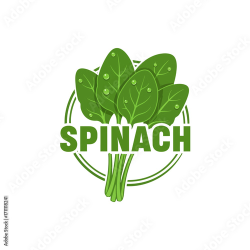Detailed vegetable logo with spinach bunch inside circular emblem with line accents