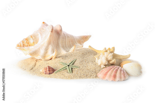 Sand with seashells and sta...