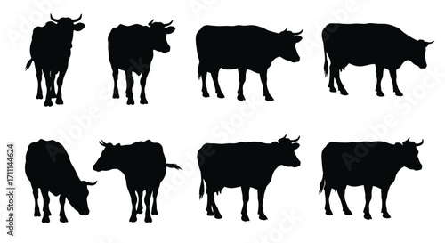 High-quality vector PNG silhouettes of cows in various poses, perfect for illustrations, logos, or any design project needing farm animal imagery.  Download now!