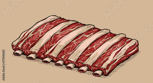 A detailed vector illustration presents a rack of raw ribs, showcasing the texture and marbling of the meat, ideal for culinary or butcher-themed projects.