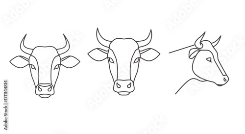 High-quality vector PNG illustrations of three different cow heads, perfect for various design projects related to meat, agriculture, or farming. These line art images offer a clean and modern