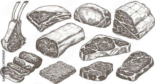 High-quality vector PNG illustrations of various cuts of meat, perfect for restaurant menus, butcher shop advertisements, or culinary websites.  These detailed images showcase different beef and lamb