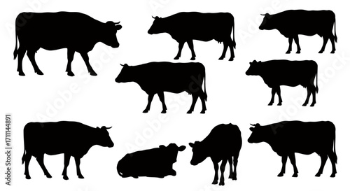 High-quality vector PNG silhouettes of various cows in different poses, perfect for farm, food, or agriculture projects needing a rustic touch.