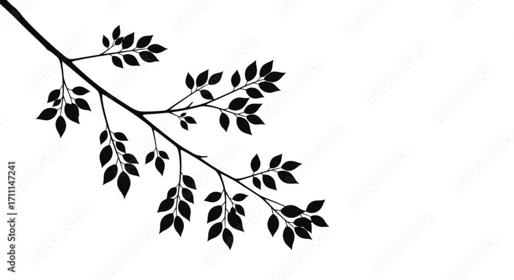 Naklejka premium A delicate branch with many leaves is silhouetted against a white background.