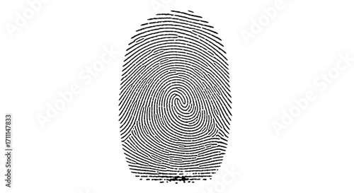 A single fingerprint is shown with a white background, representing identity.