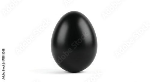A single matte black egg sits in isolation on a clean white background.