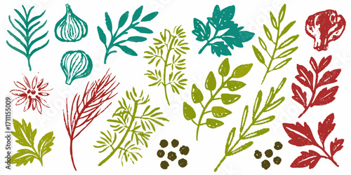 Hand drawn botanical elements featuring herbs plants and spices in vibrant colors
