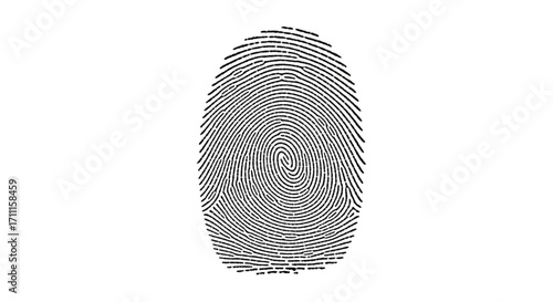Detailed fingerprint pattern, representing identity and unique human detail