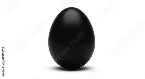 A single, smooth, black egg stands upright on a pure white background, casting a subtle shadow.