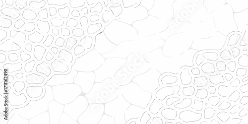 Abstract organic cellular pattern with irregular shapes and thin outlines on a white background