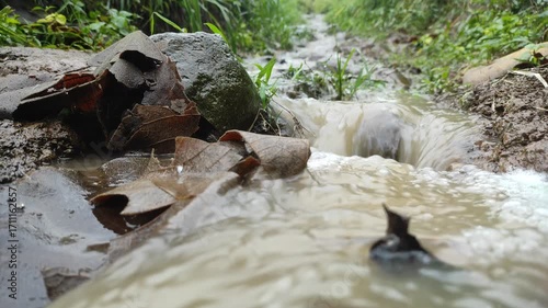 Water Flowing through Muddy Terrain: A close-up view captures water gushing through muddy ground, highlighting the raw power and untamed beauty of nature, creating an intriguing texture contrast.