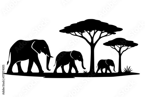 African Safari