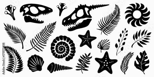 Collection of black silhouette prehistoric fossils and plants including dinosaur skulls ferns seashells and starfish