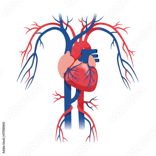 Vintage-style illustration of an enraged T-Rex standing in front of a human heart with arteries on a white background.