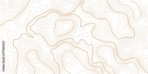 Transparent PNG available Topographic map, grid, texture, relief contour of terrain. Vector pattern background with mountains and flat land wavy line contours. Use for template, wallpaper, web.