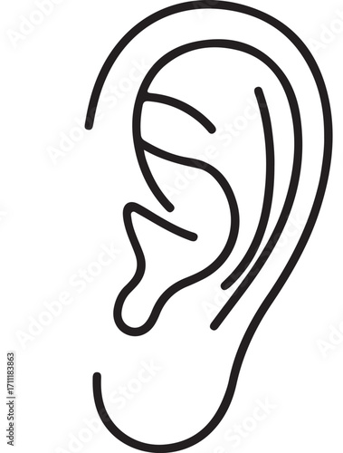 Outline of a Human Ear with Detailed Inner Structures anatomy hearing