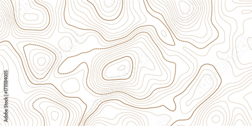 The gray on white contours topography stylized relief diagram line wave carve pattern background