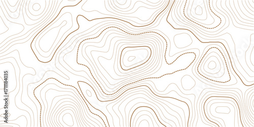 The gray on white contours topography stylized relief diagram line wave carve pattern background
