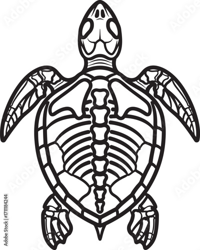  A black-and-white line drawing displays the skeleton of a sea turtle