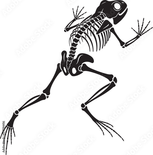 A black and white silhouette illustration shows a frog skeleton in a dynamic pose..