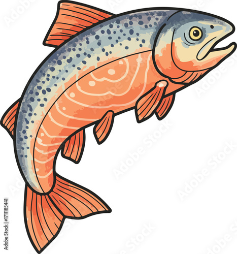 A vibrant, detailed, and hand-drawn illustration of a single salmon on a plain white background