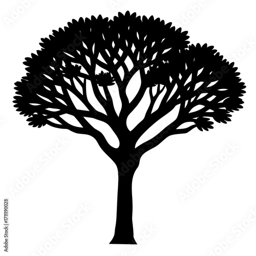 Silhouetted tree with dense foliage on a stark white background