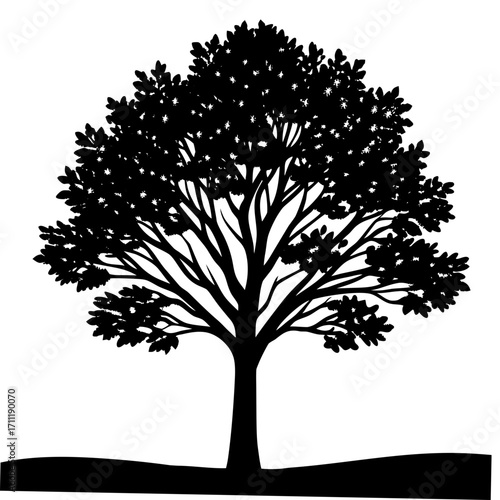 Silhouetted tree with a full canopy and rolling hills below