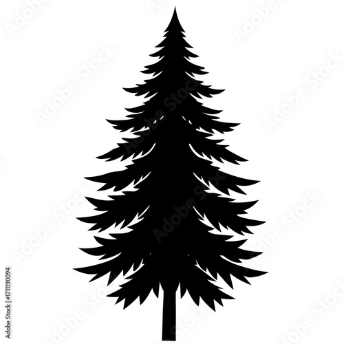Simple black silhouette of a coniferous evergreen tree on white background